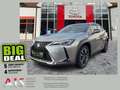 Lexus UX 250h ACC*KAM*DAB*SHZ*LenkradHz*KeyLess Silber - thumbnail 1