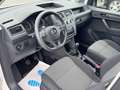 Volkswagen Caddy Nfz Kombi 2.0 TD Behindertengerecht Klima Weiß - thumbnail 18