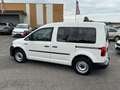 Volkswagen Caddy Nfz Kombi 2.0 TD Behindertengerecht Klima Weiß - thumbnail 19