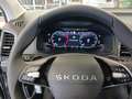 Skoda Karoq Selection 4x4 Grau - thumbnail 25
