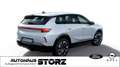 Opel Grandland X Grandland Electric TECHPAKET|KOMFORTPAKET|GEWERBEK Blanco - thumbnail 6