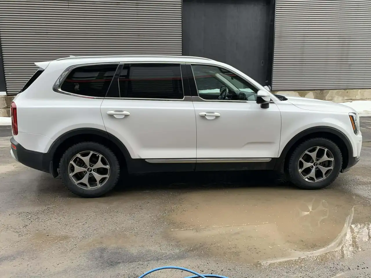 Kia Telluride снимка Kia Telluride