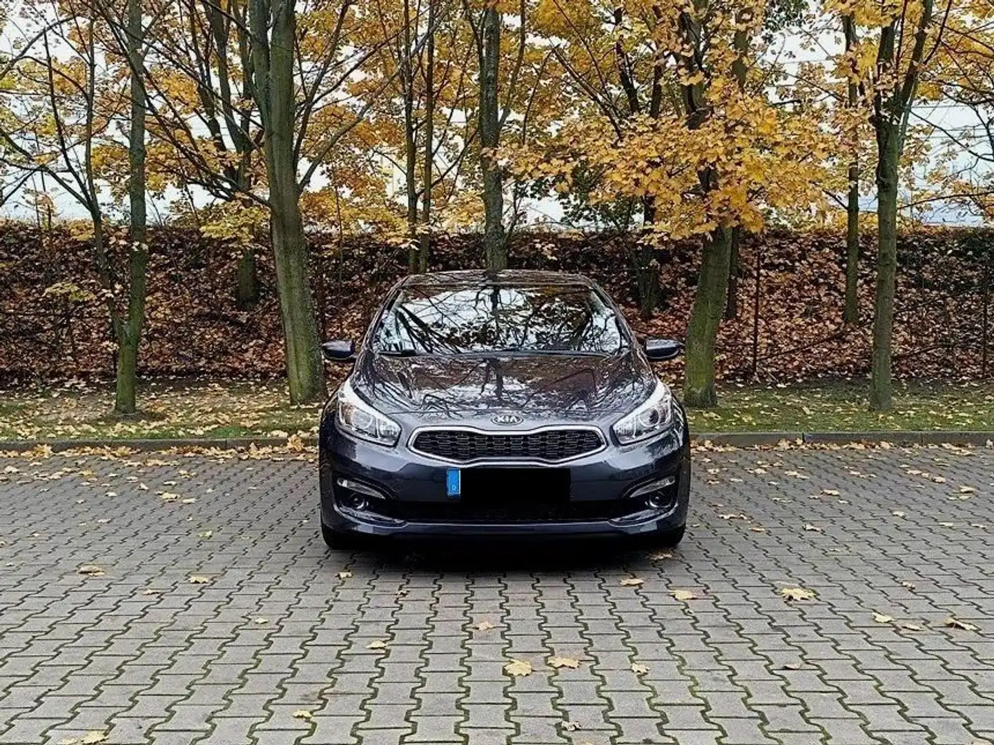 Kia Ceed / cee'd Ceed 1.4 CVVTDream Team Edition Grau - 1