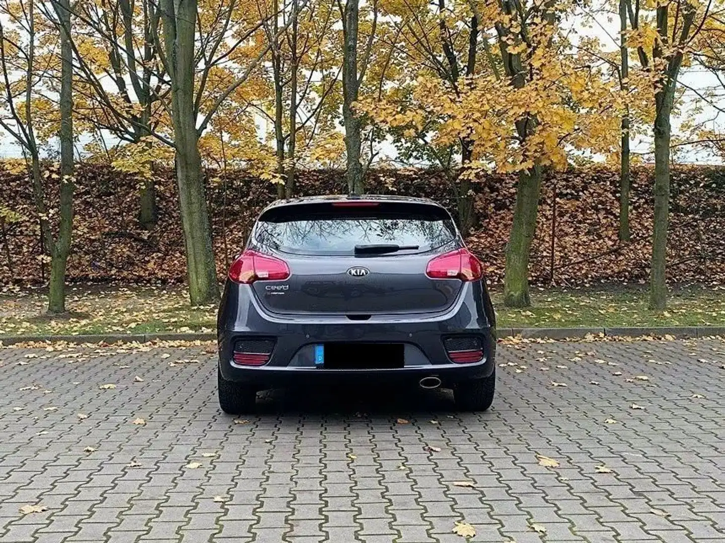 Kia Ceed / cee'd Ceed 1.4 CVVTDream Team Edition Grau - 2