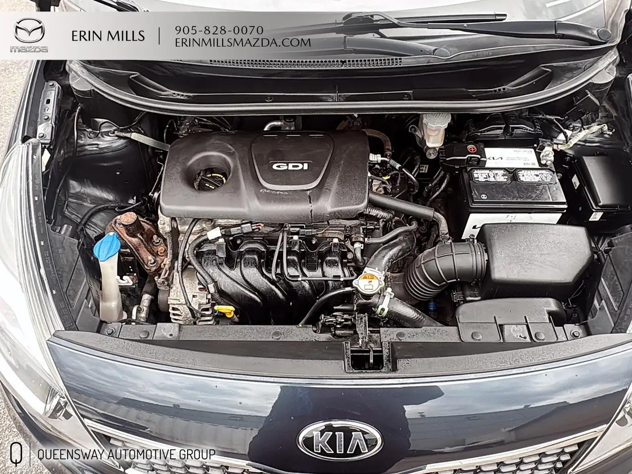 Kia Rio fotografie Kia Rio