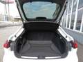Audi A5 Limousine TFSI 150kW S tronic 2x S line TECH Weiß - thumbnail 13