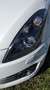 Suzuki Swift Swift 1,6 Sport Sport Weiß - thumbnail 40