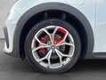 Ora Funky Cat GT Panorama*Face-ID*360°View Weiß - thumbnail 29