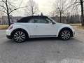Volkswagen Maggiolino Cabrio 1.4 tsi Sport 150cv dsg - thumbnail 4