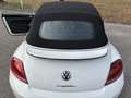 Volkswagen Maggiolino Cabrio 1.4 tsi Sport 150cv dsg - thumbnail 8