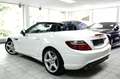 Mercedes-Benz SLK 200 AMG Line - 11.063 KM - NAVI Gris - thumbnail 4