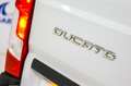 Fiat Ducato 2.3MJET L2H2 Business Blanco - thumbnail 11