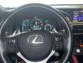 Lexus RC F LUXURY Negro - thumbnail 12