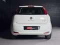 Fiat Punto Punto 5p easypower Lounge Gpl E6 OK NEO White - thumbnail 6