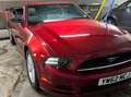 Ford Mustang Mustang Cabrio 2.3 Eco Boost Rosso - thumbnail 14
