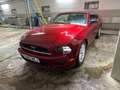 Ford Mustang Mustang Cabrio 2.3 Eco Boost Rosso - thumbnail 15