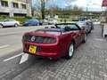 Ford Mustang Mustang Cabrio 2.3 Eco Boost Rosso - thumbnail 2