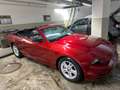 Ford Mustang Mustang Cabrio 2.3 Eco Boost Rosso - thumbnail 9
