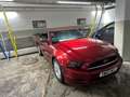 Ford Mustang Mustang Cabrio 2.3 Eco Boost Rosso - thumbnail 13