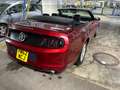 Ford Mustang Mustang Cabrio 2.3 Eco Boost Rosso - thumbnail 10