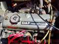 DAF Sonstige 55 Marathon Orange - thumbnail 14
