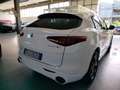 Alfa Romeo Stelvio 2.2 Turbodiesel 190 CV AT8 Q4 Executive Weiß - thumbnail 10