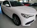 Alfa Romeo Stelvio 2.2 Turbodiesel 190 CV AT8 Q4 Executive Weiß - thumbnail 12