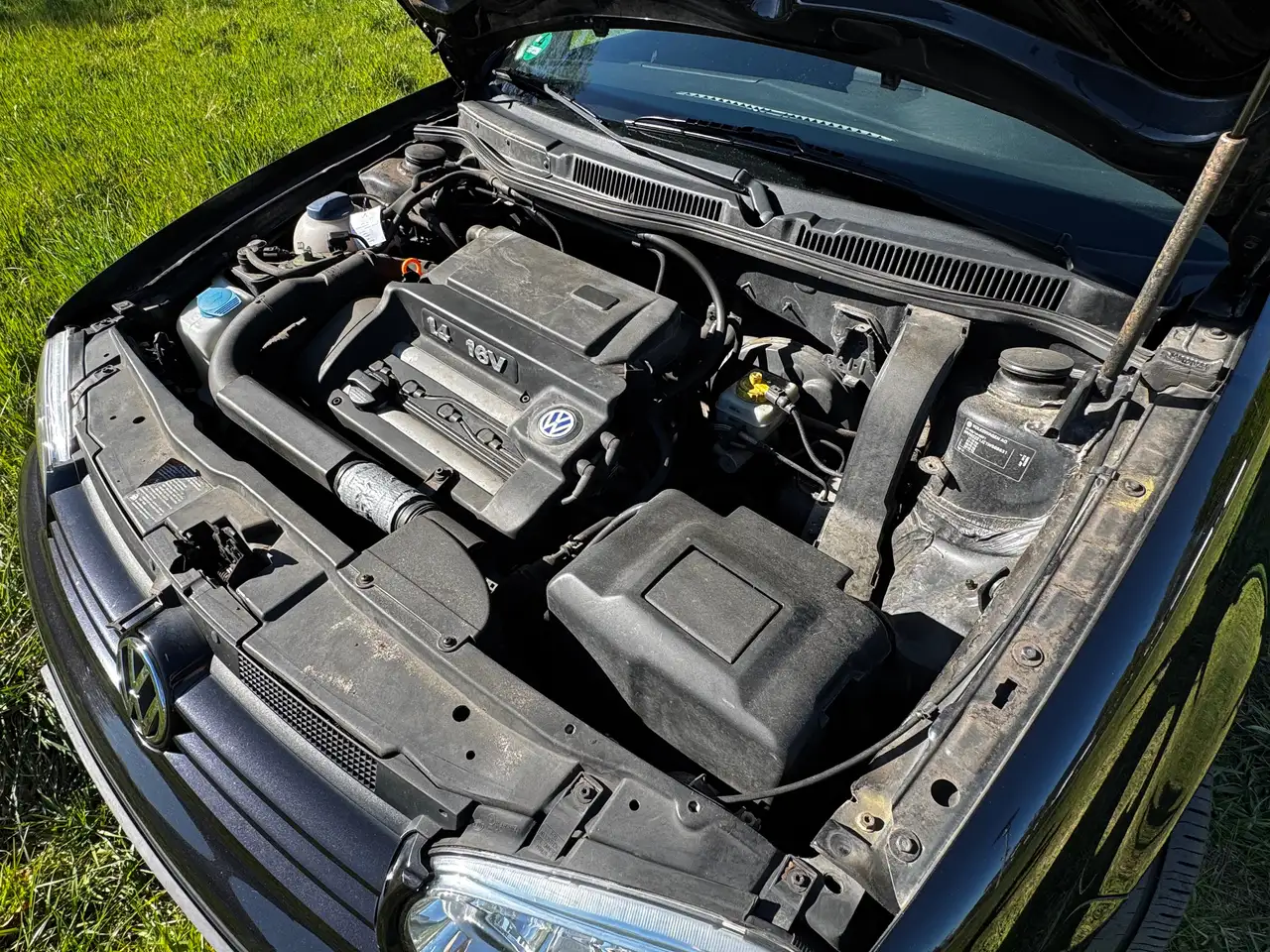 Volkswagen Golf 1.4 Edition, foto 9