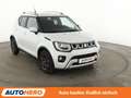 Suzuki Ignis 1.2 DualJet Mild-Hybrid Comfort*SHZ*ALU*KLIMA* Blanco - thumbnail 8