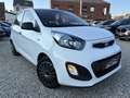 Kia Picanto 1.0i*1er main*airco*carnet*feuille rose Blanc - thumbnail 3