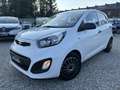 Kia Picanto 1.0i*1er main*airco*carnet*feuille rose Blanc - thumbnail 1