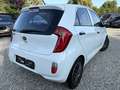 Kia Picanto 1.0i*1er main*airco*carnet*feuille rose Blanc - thumbnail 7