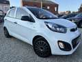 Kia Picanto 1.0i*1er main*airco*carnet*feuille rose Blanc - thumbnail 4