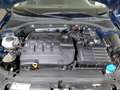 Skoda Octavia 1.6 TDI CR 115 CV Wagon Executive  AUTOCARRO N1 Blu/Azzurro - thumbnail 11