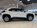 Toyota Yaris Cross 1.5 Hybrid 5p. E-CVT Active NUOVO MODELLO HEV Weiß - thumbnail 25