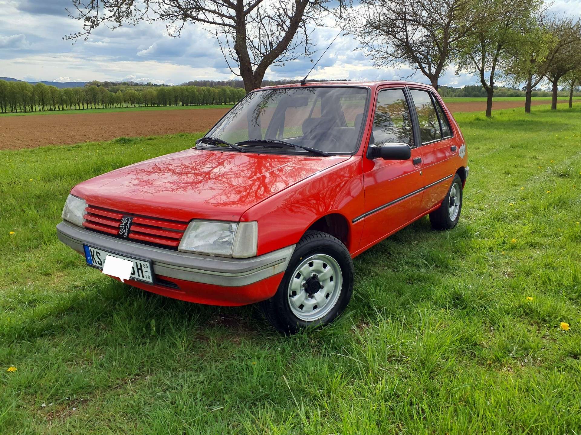 Second hand Peugeot 205 1.9