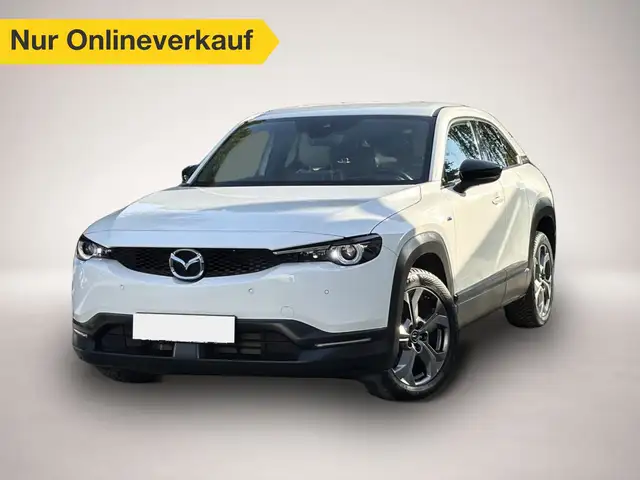 Mazda MX-30 e SKYACTIV Advantage LED+NAVI+RFK+TEMP+ L R Sensor/eFH./USB Schnittstelle/Isofix Aufnahmen für Kindersitz