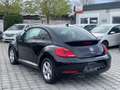 Volkswagen Beetle Lim. Sport/Leder/Navi/Xenon/DAB/ Czarny - thumbnail 5