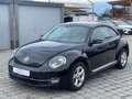 Volkswagen Beetle Lim. Sport/Leder/Navi/Xenon/DAB/ Czarny - thumbnail 3