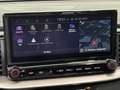 Kia ProCeed / pro_cee'd 1.5 T-GDi 160 GT-Line | Trekhaak afneembaar | Navi Grijs - thumbnail 38