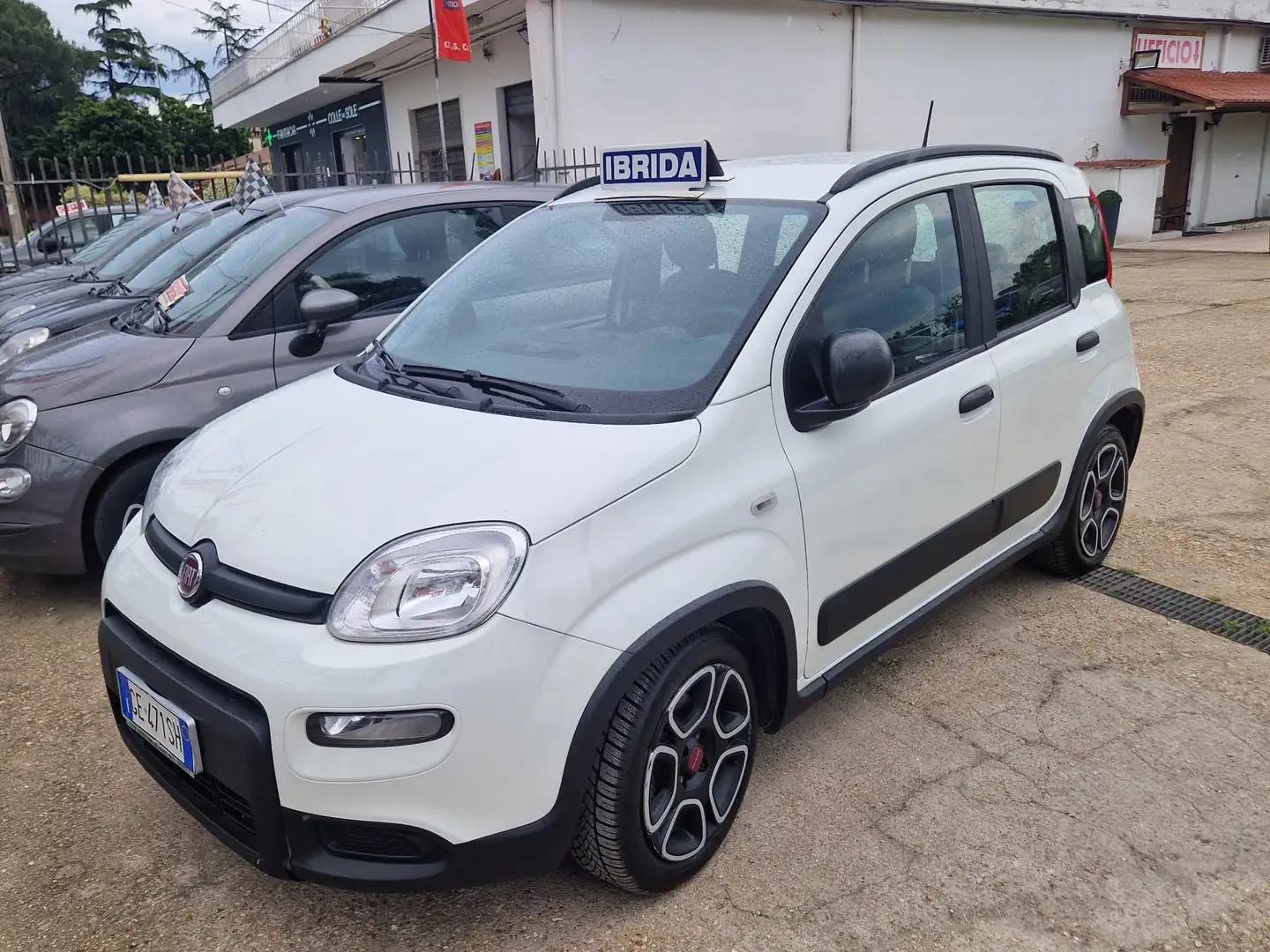 Fiat Panda 2021 1.0 firefly hybrid SCHERMO GRANDE +MULTIF. Bianco - 1