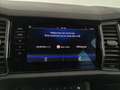 Skoda Kodiaq 4x4 Style 125 TDI DSG Grau - thumbnail 23