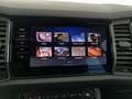 Skoda Kodiaq 4x4 Style 125 TDI DSG Grau - thumbnail 20