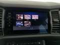Skoda Kodiaq 4x4 Style 125 TDI DSG Grau - thumbnail 21