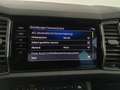 Skoda Kodiaq 4x4 Style 125 TDI DSG Grau - thumbnail 25