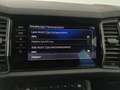 Skoda Kodiaq 4x4 Style 125 TDI DSG Grau - thumbnail 26