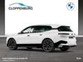 BMW iX xDrive50 Sportpaket Head-Up HK HiFi DAB LED Blanco - thumbnail 6
