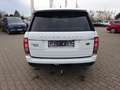 Land Rover Range Rover Vogue V8 Supercharged Dach SH Kamera Blanc - thumbnail 5