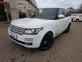 Land Rover Range Rover Vogue V8 Supercharged Dach SH Kamera Blanc - thumbnail 2
