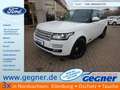 Land Rover Range Rover Vogue V8 Supercharged Dach SH Kamera Blanc - thumbnail 1